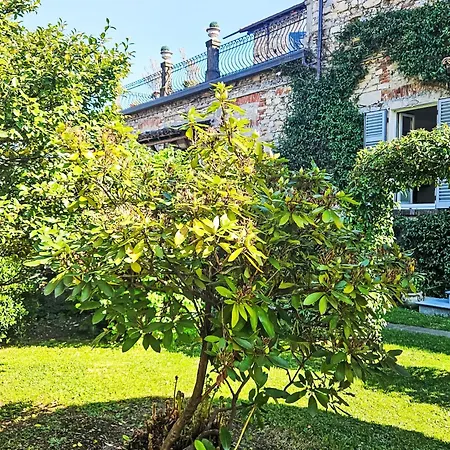 Casa Giardino A 50 Mt Dal By Interhome Apartment Gravedona